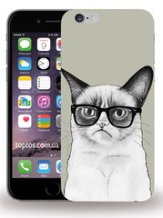 Серый чехол для iPhone 6 / 6s Грустный котик