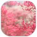 Розовый попхолдер цвет вишни купить с доставкой