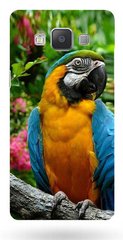 Яркий бампер для Samsung A700 (15) - Попугай Ара