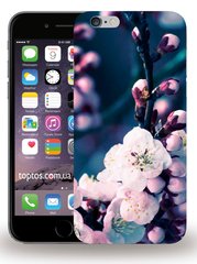 Чехол с Цветом вишни для iPhone 6 / 6s Красивый