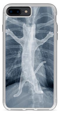ТПУ Бампер с Рентгеном на iPhone 8 plus Котик