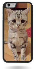 Грустный котик прорезиненный чехол для iPhone 6 / 6s