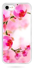 ТПУ Чехол с Цветами на iPhone 7 Орхидея