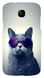 Сірий чохол на Samsung Core Duos Котик в окулярах