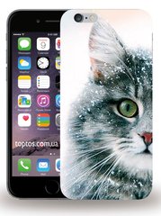 Красивый чехол для iPhone 6 / 6s Мордочка котика