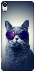 Чехол накладка с Котиком в очках на Sony Xperia M4 Серый
