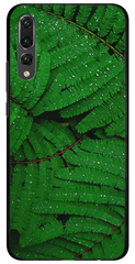 Green case ( Зеленый чехол ) на Huawei P20 Папоротники