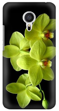 Черный чехол для девушки на Meizu mx5 Орхидея
