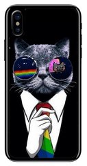 Чехол с Котиком в очках на iPhone 10 / X Прорезиненный
