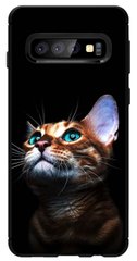 Чехол с Котиком на Samsung S10 Galaxy G973F Прорезиненный