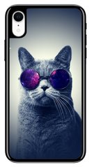 Надежный чехол для iPhone XR Котик в очках