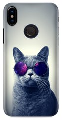 Чохол накладка з Котиком в окулярах на Xiaomi Note 5 Сірий