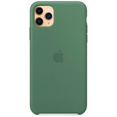 Оригінальний бампер для Iphone 11 Pro колір pine green