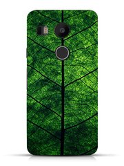 Зеленый чехол для LG Nexus 5 x текстурой листка