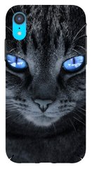 Серый чехол на iPhone ( Айфон ) XR Котик