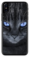 Серый чехол для iPhone ( Айфон ) XS Котик