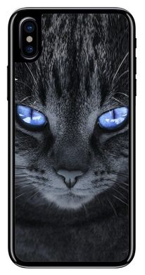 Серый чехол для iPhone ( Айфон ) XS Котик