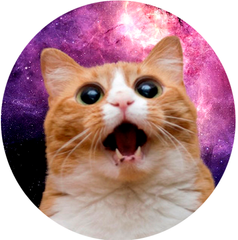 Смешной держатель для телефона ( попсокет ) Котик в космосе