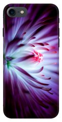 Фиолетовый чехол на iPhone 7 Хризантема