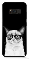 Чехол с Грустным Котиком на Samsung S8 plus Прорезиненный