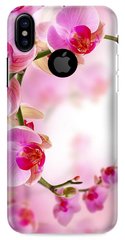 Чехол накладка с Орхидеей на Xiaomi Note 6 Весенний