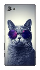 Чехол накладка с Котиком в очках на Sony Xperia Z5 Compact Серый