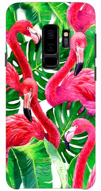 Яркий чехол на Galaxy S9 plus Фламинго