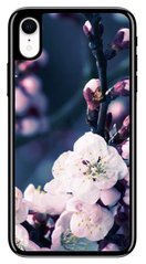 Красивый чехол с Природой на iPhone XR Цвет вишни