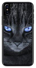 Серый чехол для iPhone  ( Айфон ) 10 / X Котик