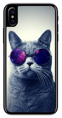 Котик в очках чехол для iPhone XS