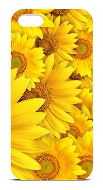 Чохол з Соняшниками на iPhone 5c Жовтий