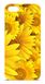 Чехол с Подсолнухами на iPhone 5c Желтый