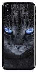 Серый чехол для iPhone ( Айфон ) XS Max Котик