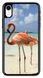 Чехол с Фламинго на iPhone XR Красивый