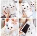 Мягкий пушистый чехол на iPhone 7 Plus 3Д белый котик