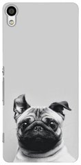 Серый бампер для Sony Xperia XA ultra Мопс